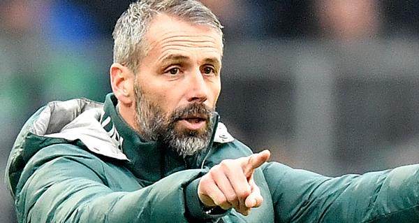 第三次掏转会费挖主帅 罗泽是多特的真命天子吗？